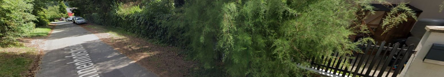 Profilbanner Testi Test